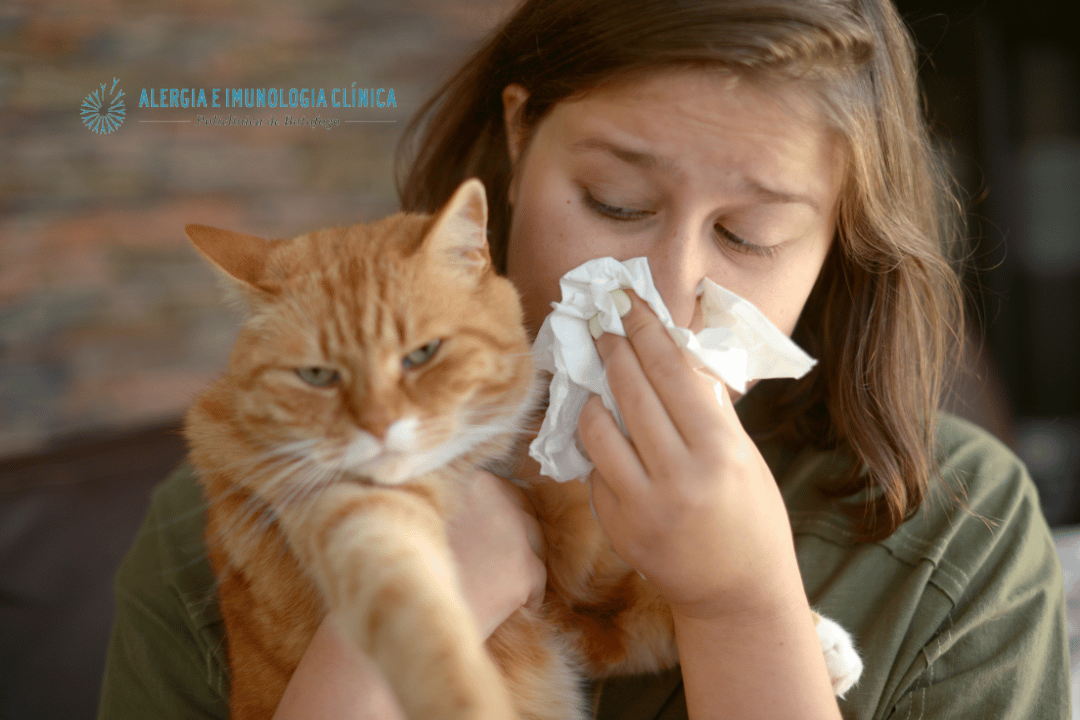 Desvendando os segredos da alergia a gato